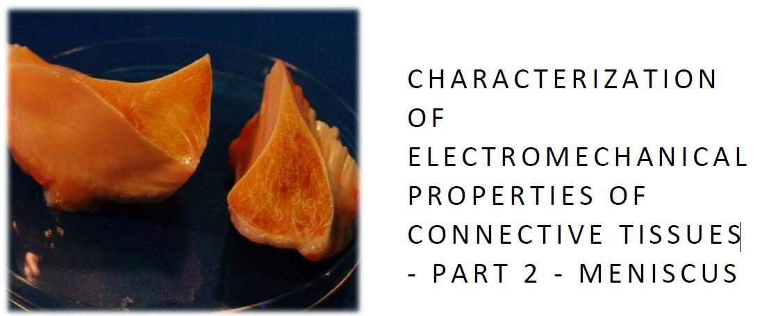 結(jié)締組織機電特性的表征.2部分:彎月面 結(jié)締組織機電特性的表征.2部分:彎月面