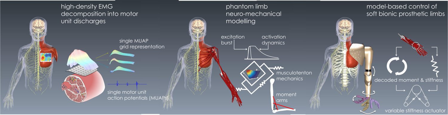 人體運(yùn)動(dòng)的多尺度神經(jīng)力學(xué)建模