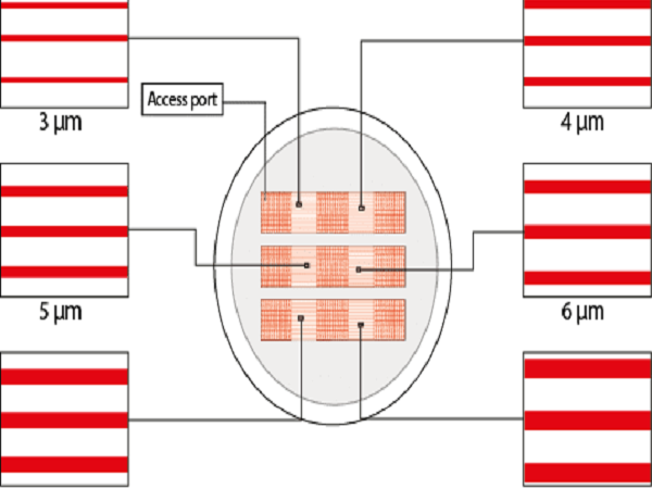 動(dòng)態(tài)微圖案培養(yǎng)皿