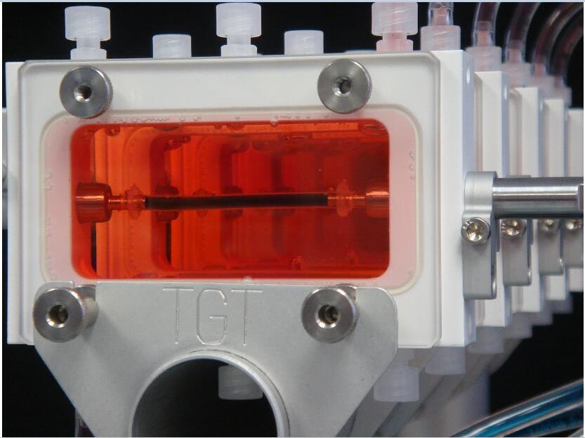 TGT自反饋式血管生物反應(yīng)器