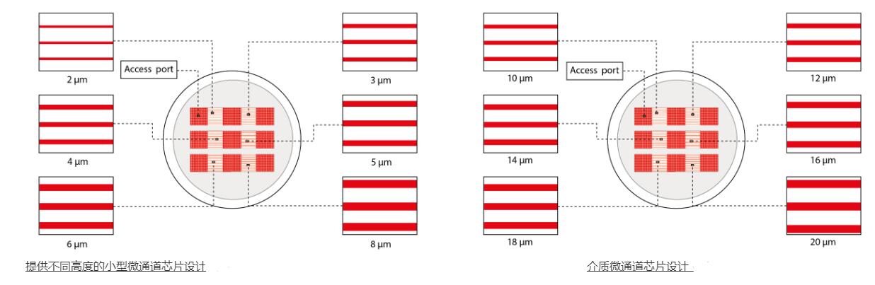 1686470653318086277.jpg 細(xì)胞遷移微通道培養(yǎng)皿2.jpg