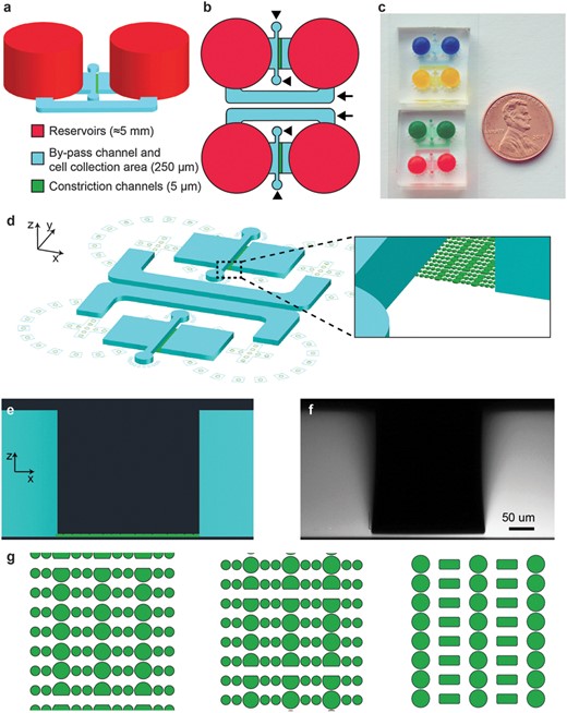1686539739136040195.jpeg 細(xì)胞遷移受限微流控裝置.jpeg