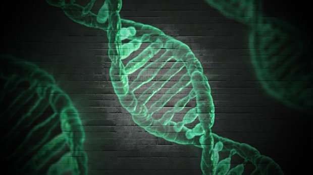 Nat Microbio：重大發(fā)現(xiàn)！科學(xué)家發(fā)現(xiàn)新的CRISPR/Cas9系統(tǒng)！