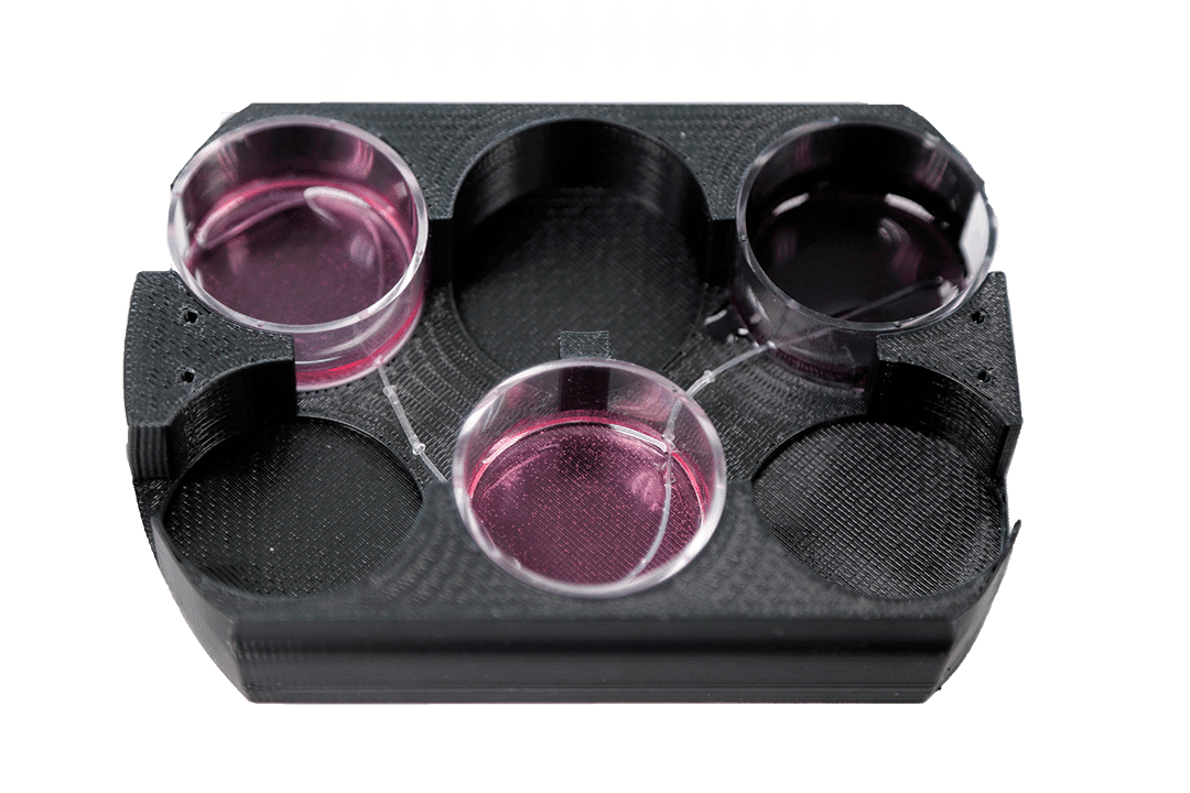 多器官芯片關(guān)聯(lián)裝置