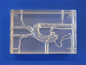 型號(hào)：TRN-002