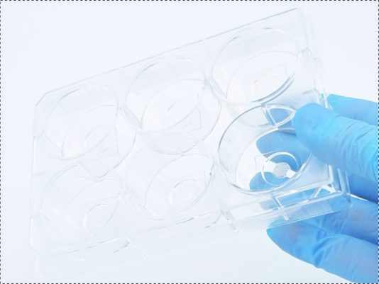 結(jié)構(gòu)化水凝膠，3d細(xì)胞球組裝培養(yǎng)板,環(huán)狀收縮力培養(yǎng)板，三維環(huán)狀組織收縮力培養(yǎng)板，